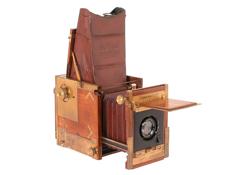 Adams & Co.   Minex Tropical