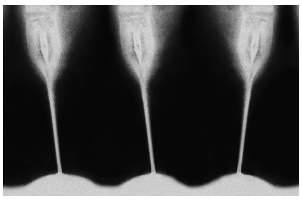 "Tulipani I" (from the series "Flow:Eros"), Natascha Auenhammer (* 1964)