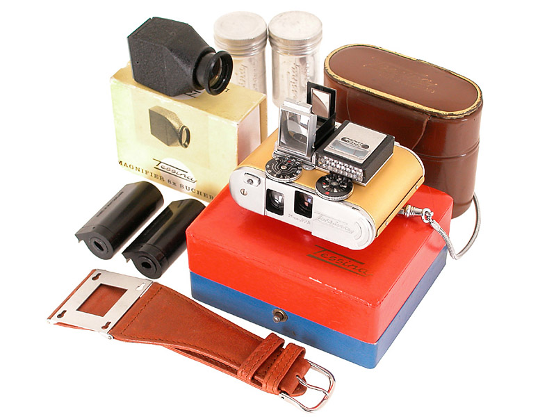 Concava   Tessina L Gold outfit