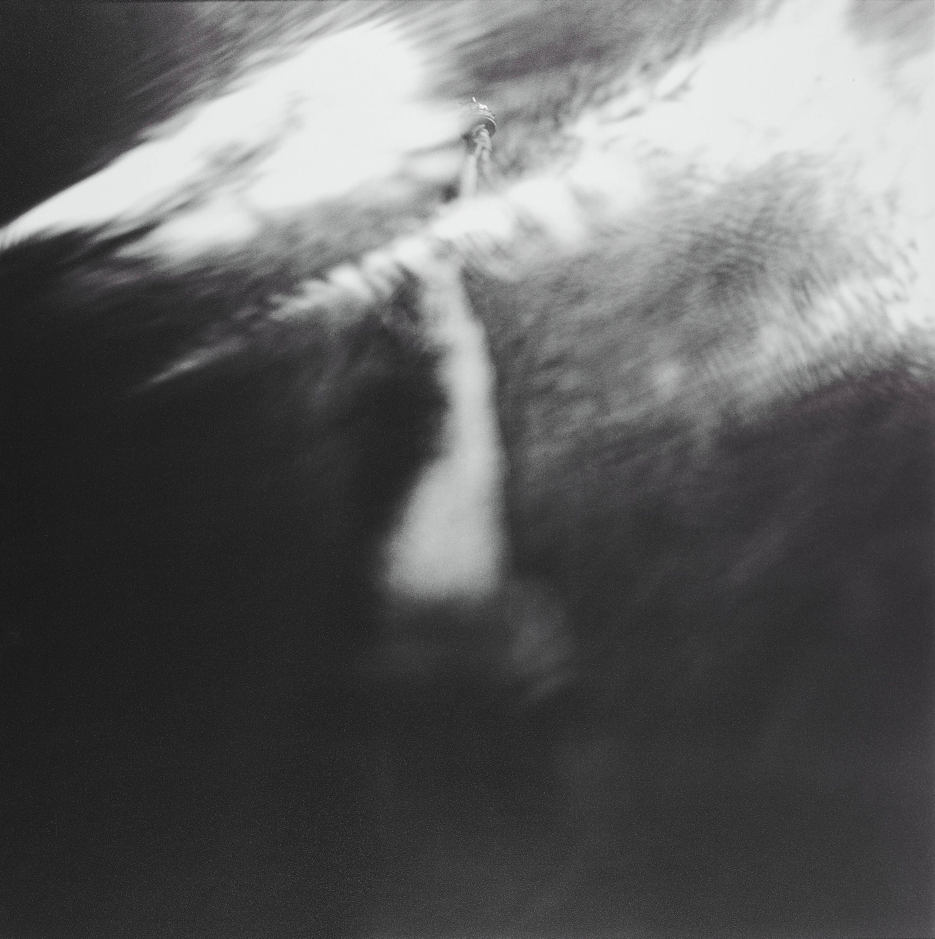 KEITH CARTER (* 1948) - Statue of Liberty, New York 1999