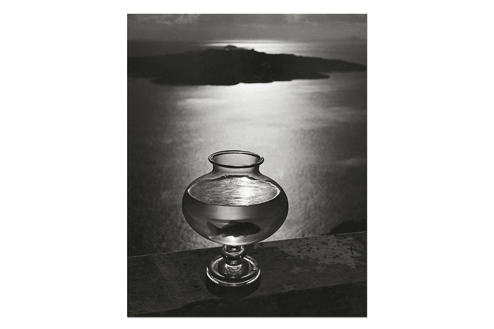 Herbert List (1903-1975), Goldfischglas / Goldfish glass