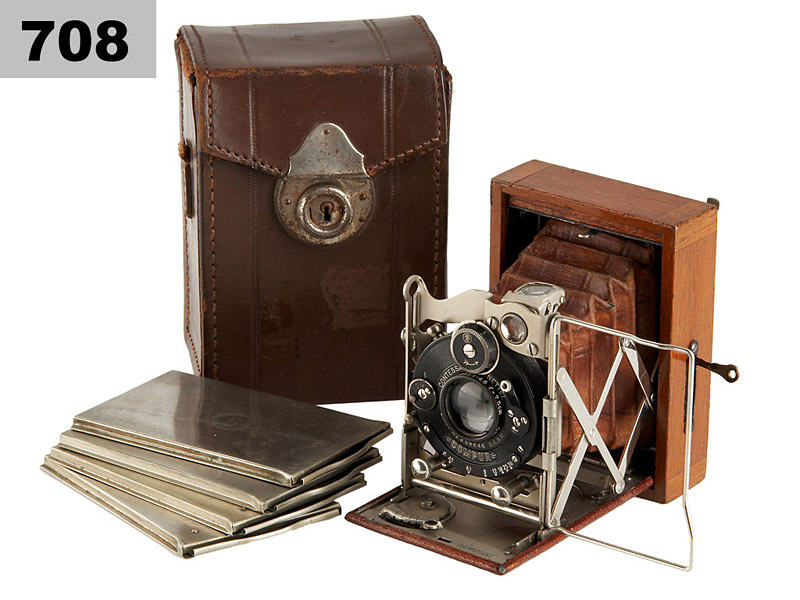 Contessa Nettel  Sonnet Tropical