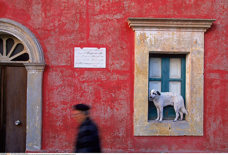 Toni Anzenberger (* 1969), ›Pecorino, Stromboli‹