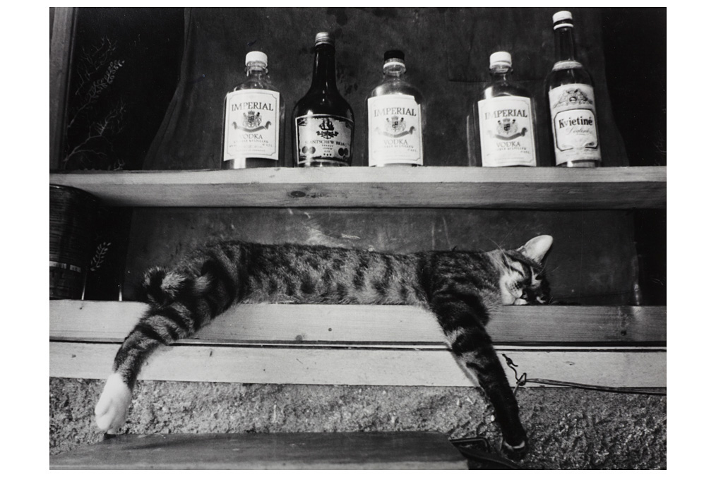 Rimaldas Viksraitis, Grimaces of the village Rimaldas Viksraitis, Grimaces of the village